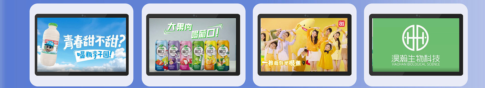 项目案例
